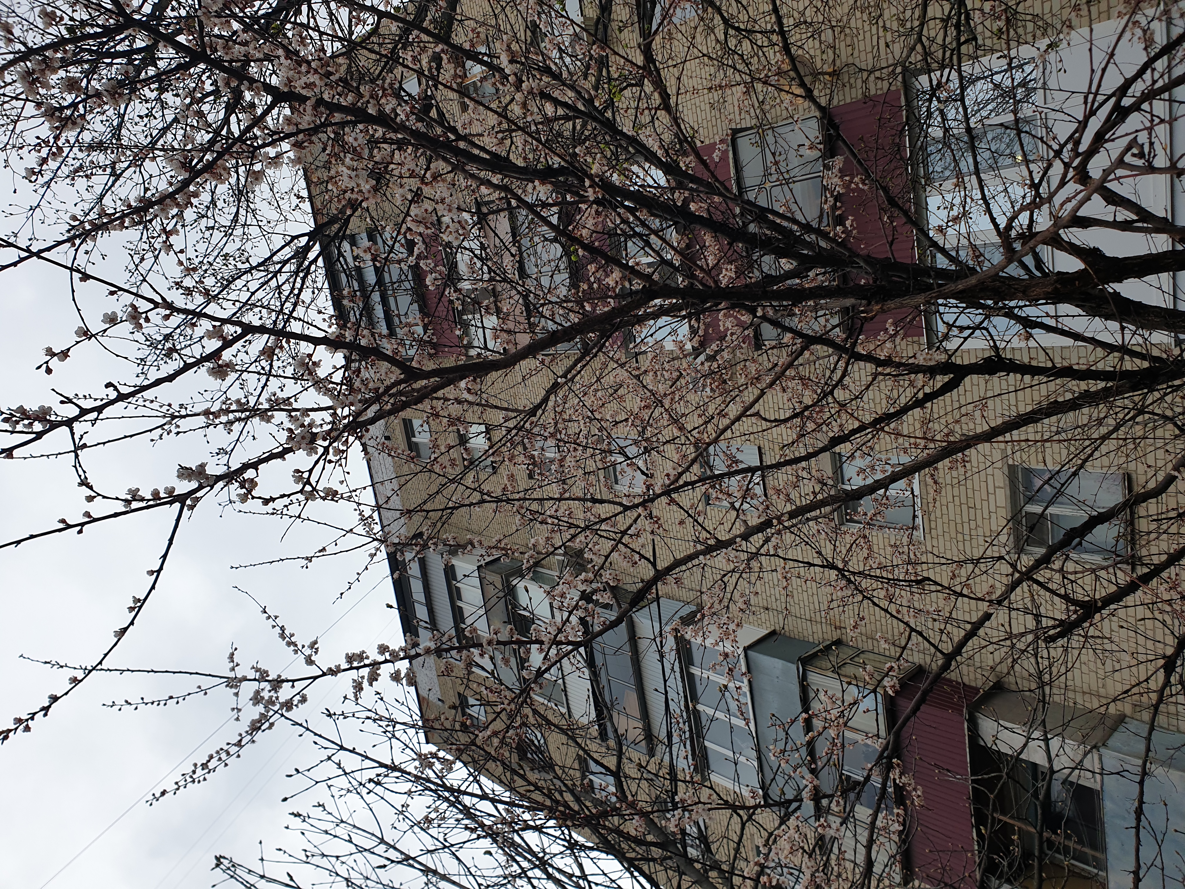 Щорса 13_2