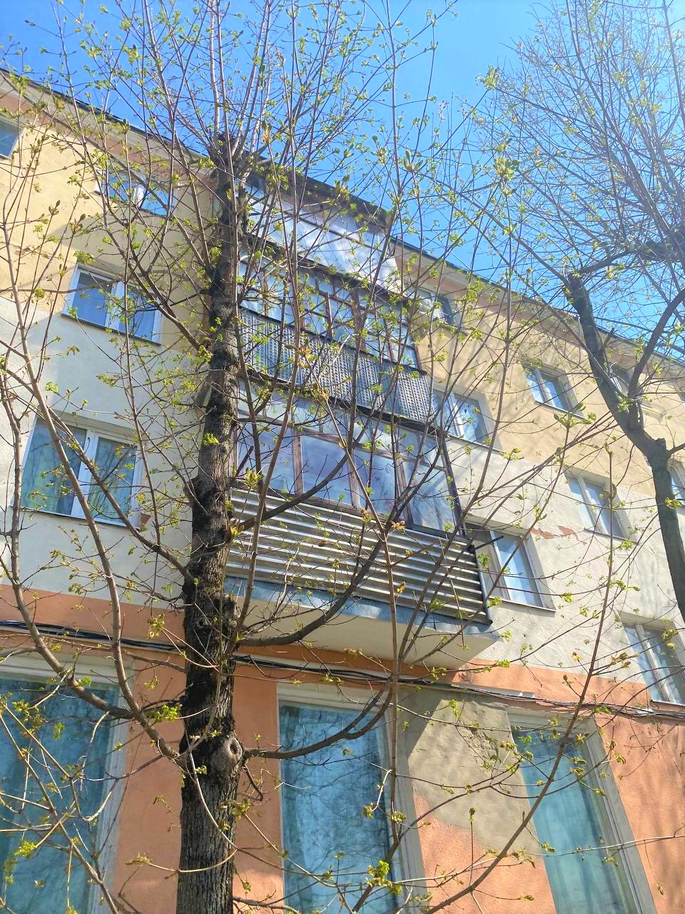 дом